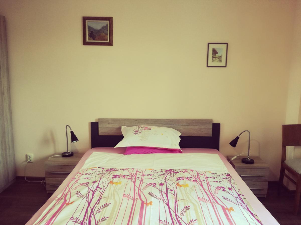 Apartment Durvenitza Софія Екстер'єр фото